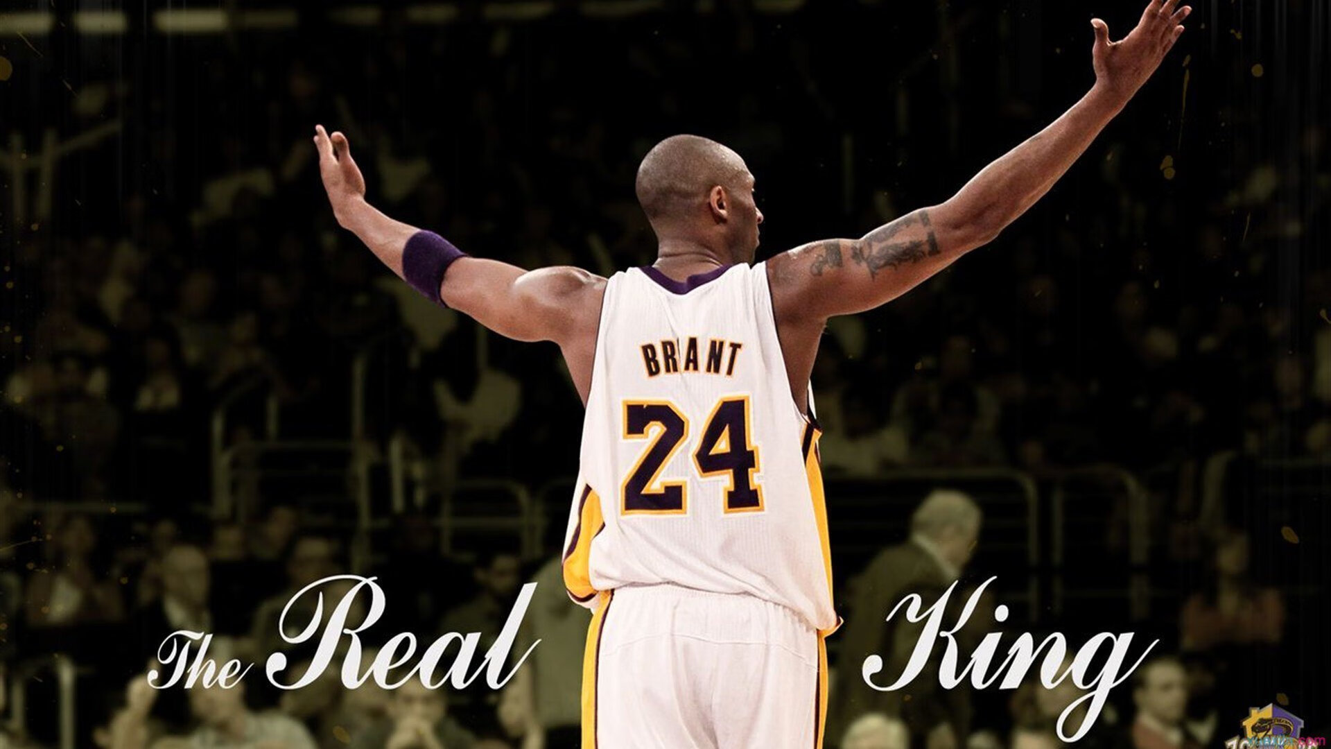 科里·简：无畏的突破者，突破对方防线屡屡得手，科里老婆