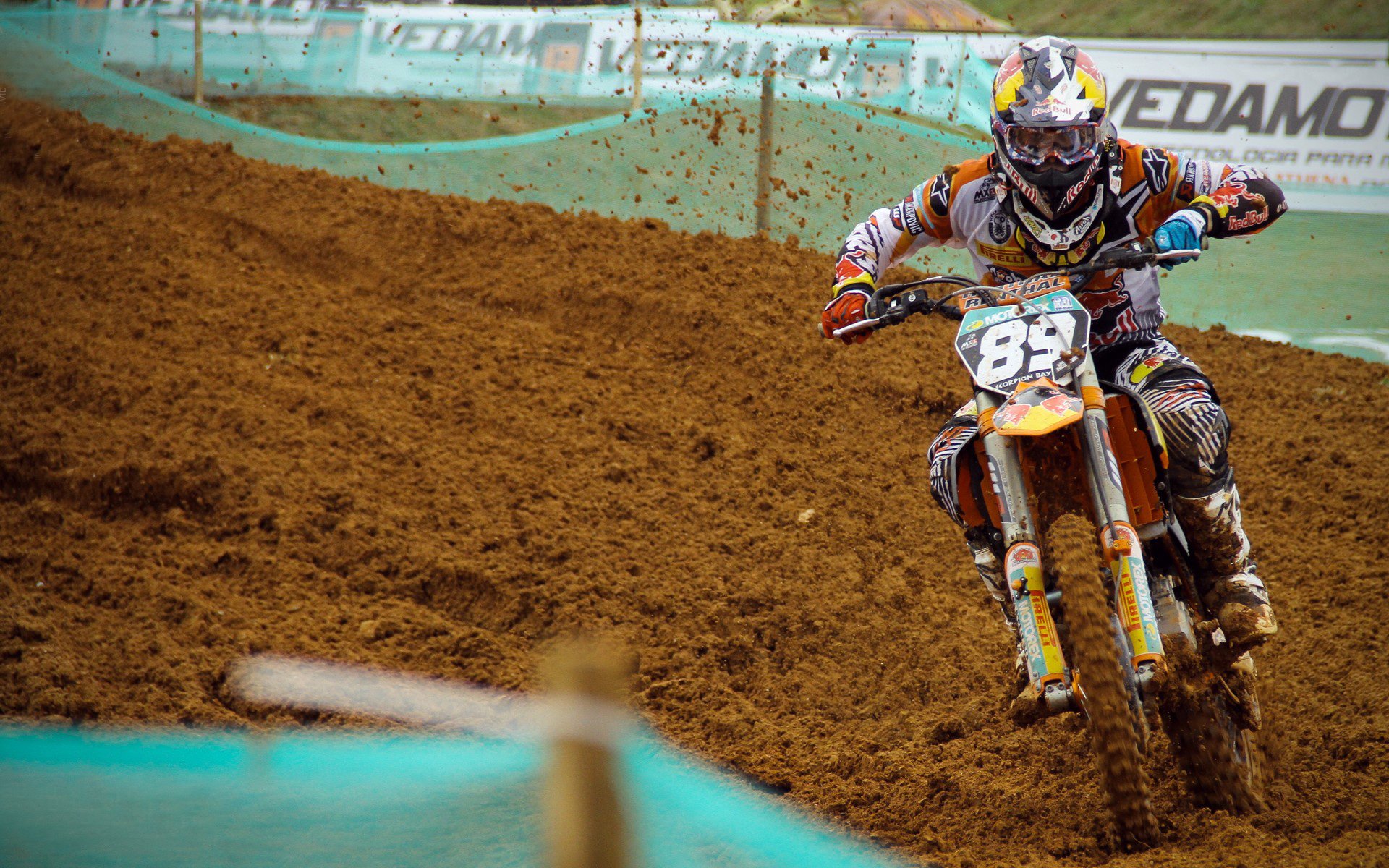 马里特·斯滕伯根100米自由泳赛道亮点,斯科特100米自由泳